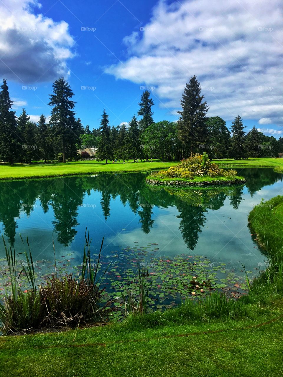 Tacoma Country & Golf Club