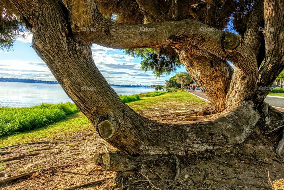 Views through nature's window!