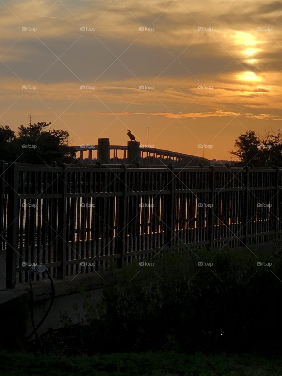 Bridge at Sunset