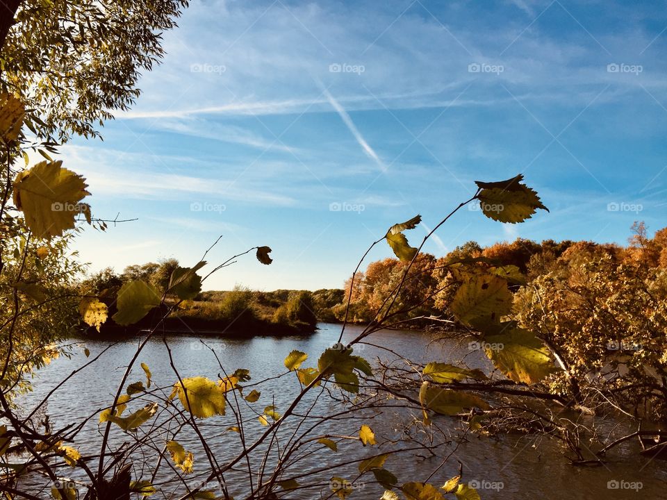 Golden autumn on the river. Autumn forest by the river.