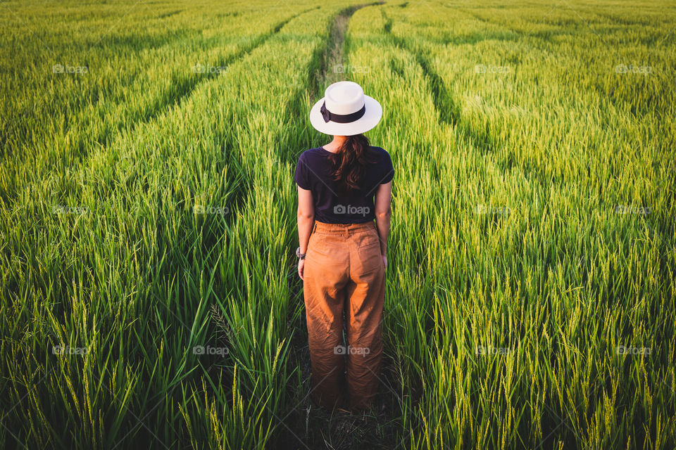 Women standing alone in a rice fields