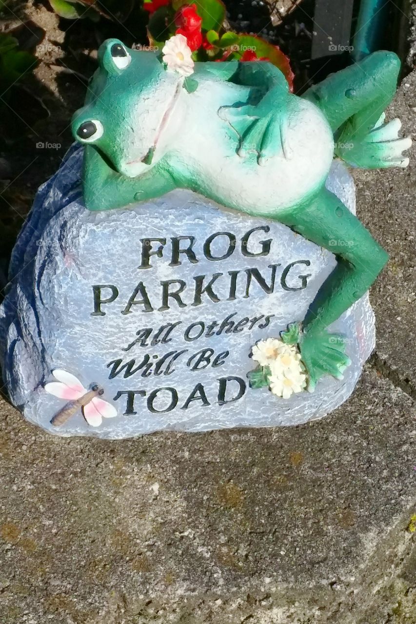 Frog Parking