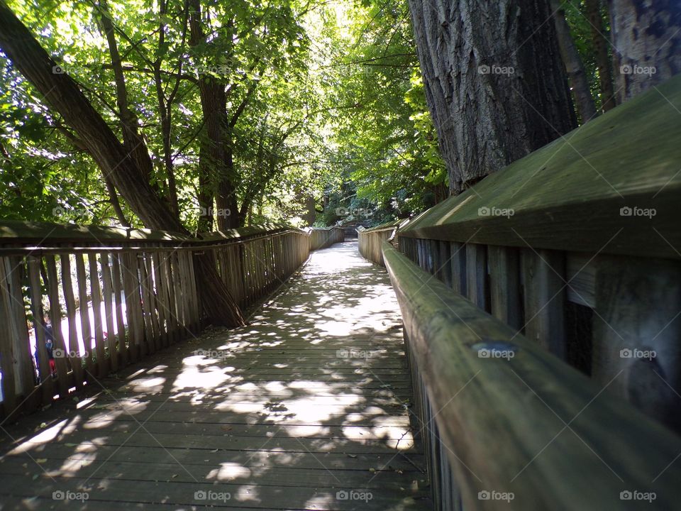 Walking in the quiet path on a warm summer day.