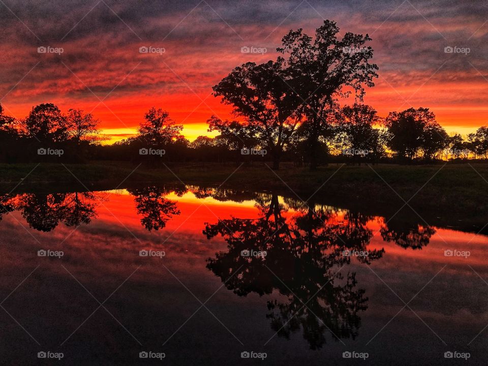 Sunset reflected on a pond. 