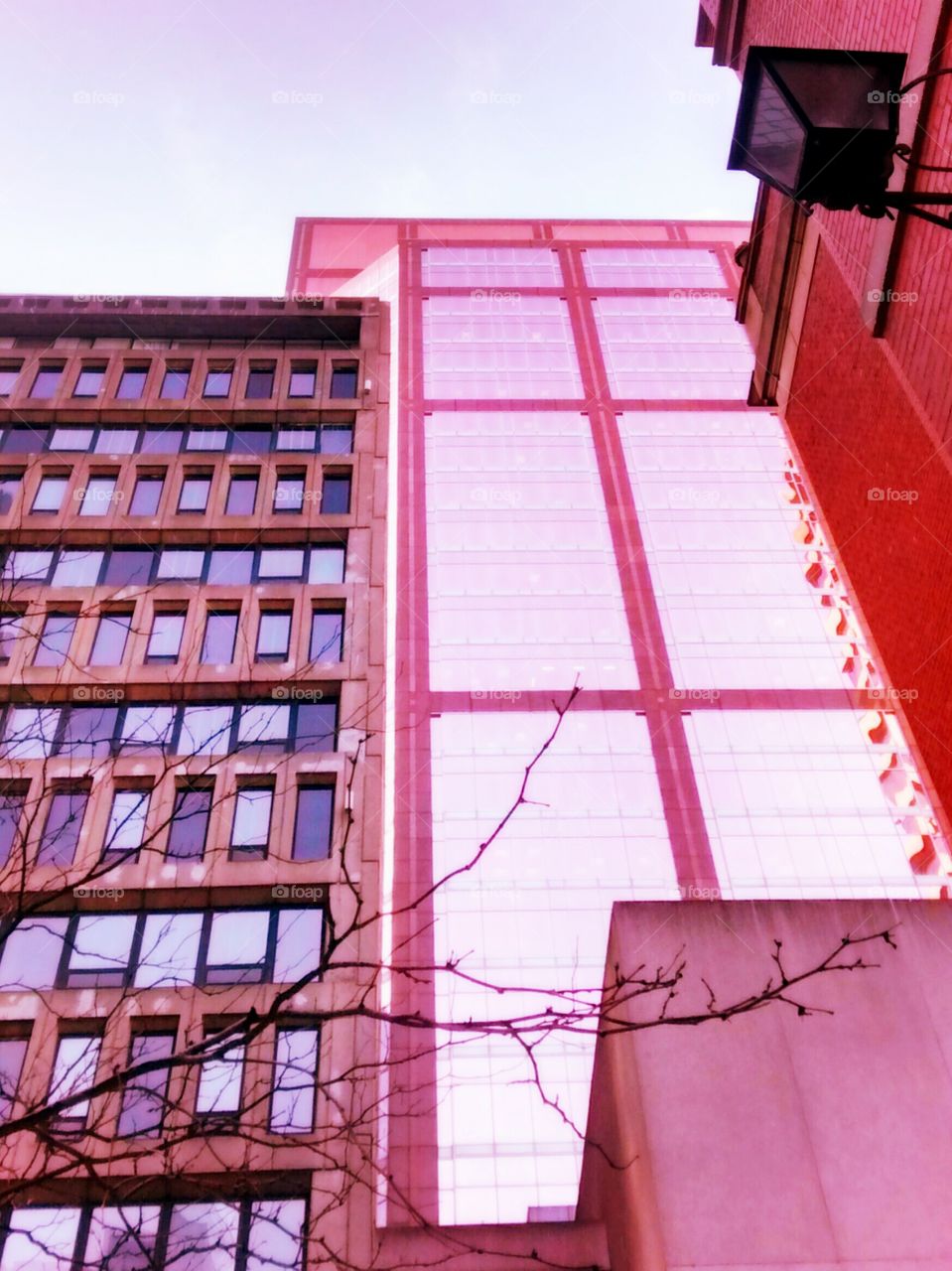 Building with pink mirror windows