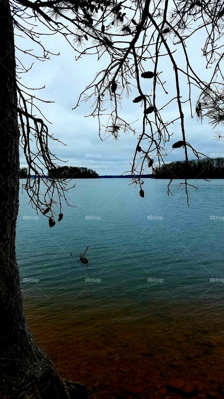 rainy day on the lake