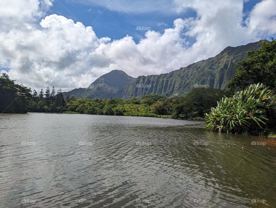 Botanical Garden-O'ahu 

Beautiful island and wonderful people