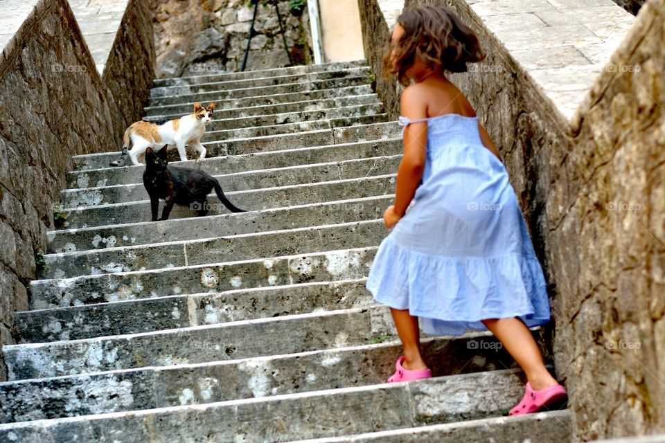 a girl chasing cats in Montenegro