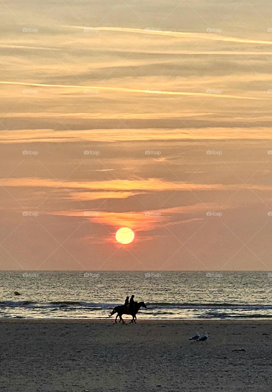 chevaux sur la plage de Deauville