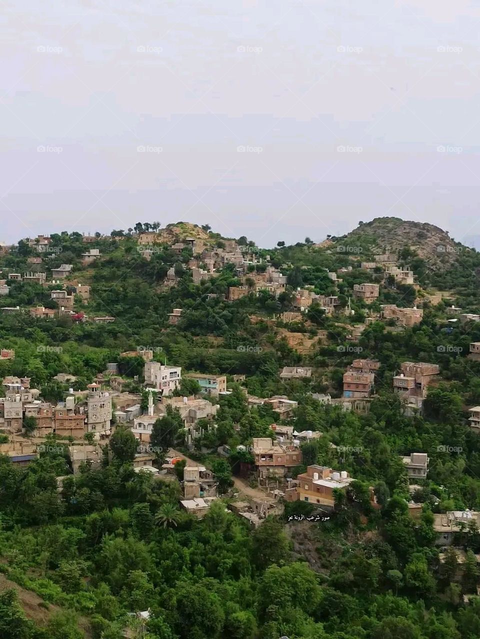 A very beautiful picture, and there is no better picture than it. There is no better picture of green herbs and colorful, red and white roses than it. Glory be to God, the natural and picturesque view, and there is no more