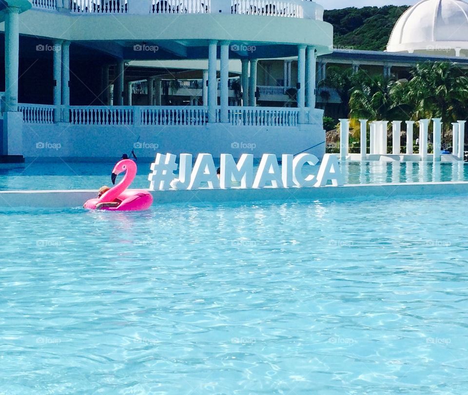 #Jamaica bright summer vibes with a pink flamingo - Jamaica sign