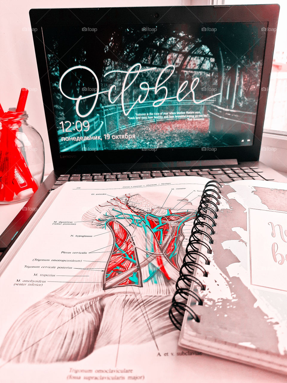 There is no holidays for medical student😂.  That is just how aesthetic I keep my desk. Hope you will like it😋. Even it's not related to halloween this photo shows a wallpaper wich is related with autumn/october!