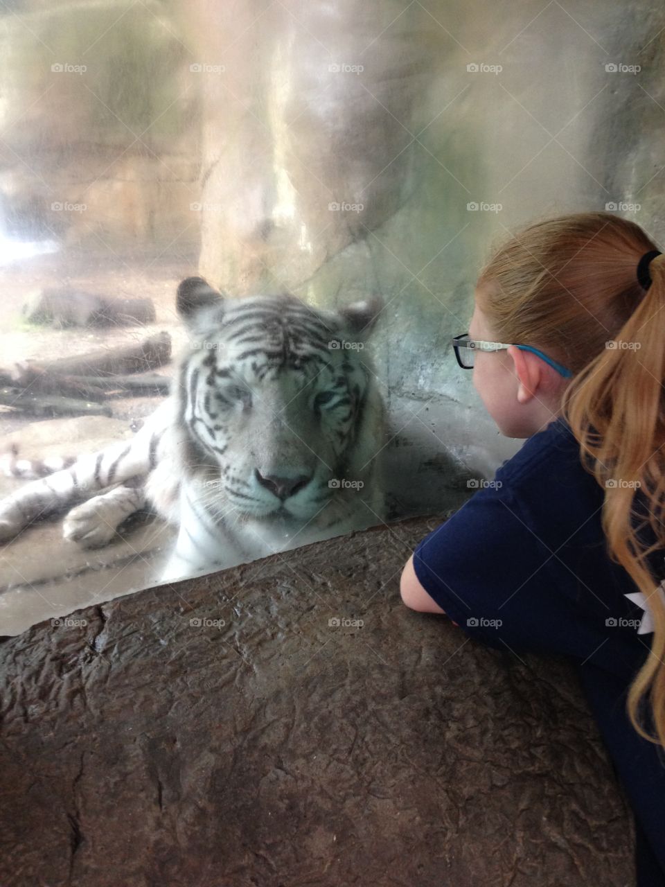 Tiger Face to Face. Zoo field trip with my daughter
