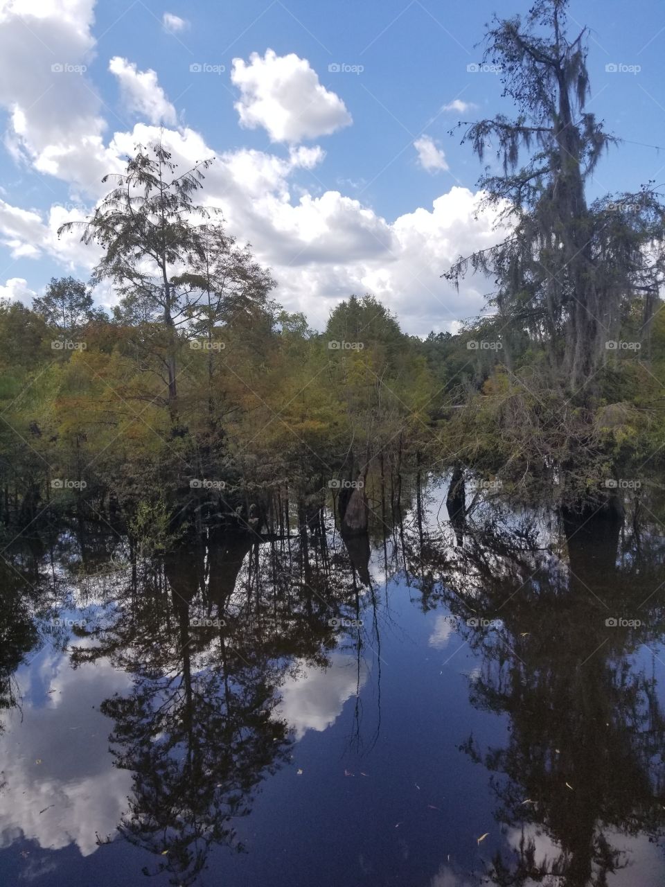 Chipola River Florida, shows Gods canvas of the reflections of clouds, sky and trees