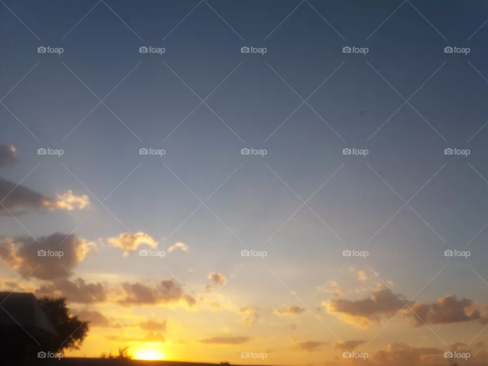 Sky.