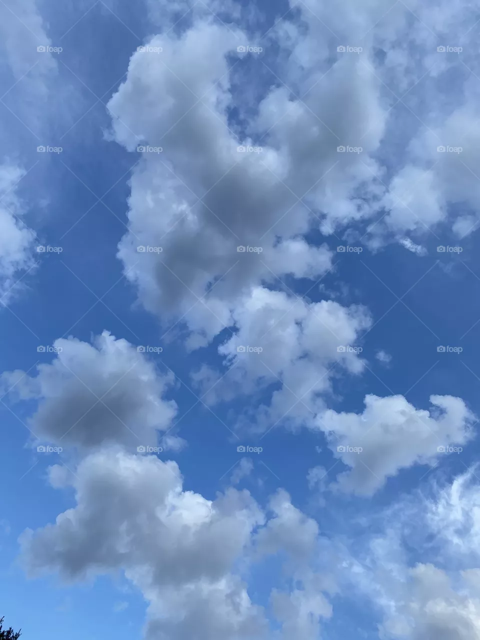 After the storm 