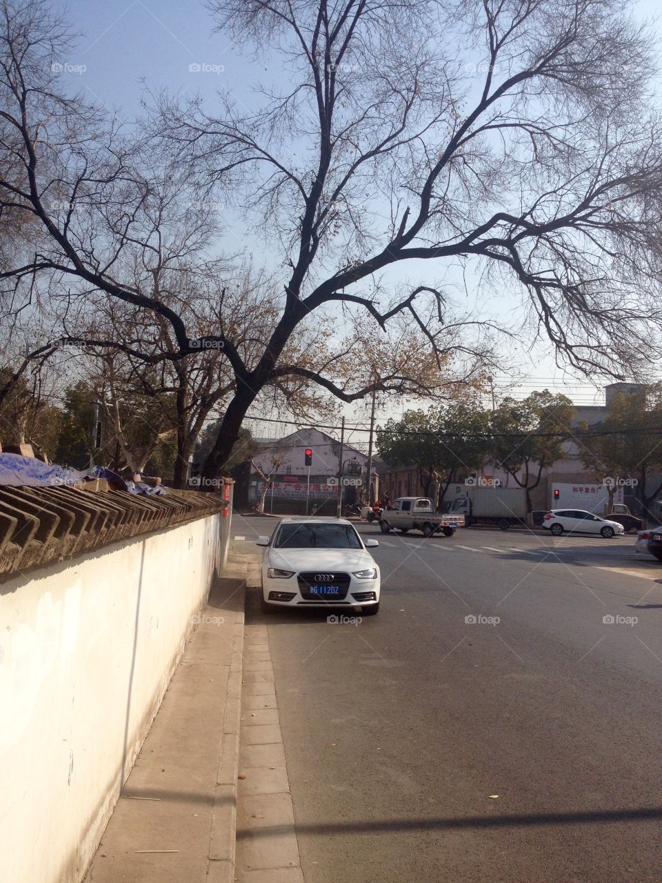 Audi under a tree in a street in China