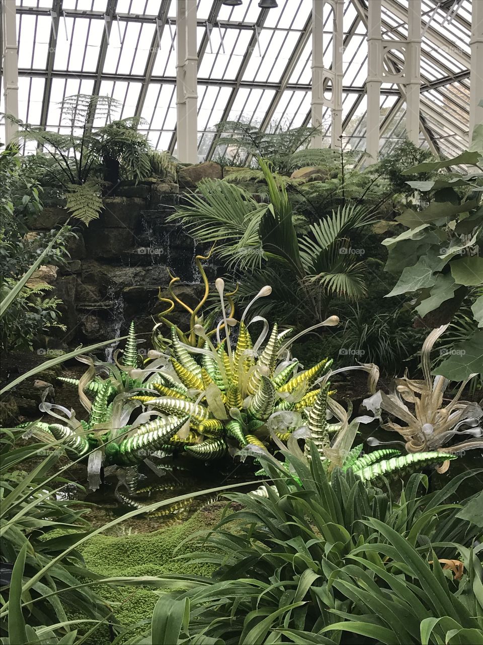 Kew Garden Conservatory, Green Chihuly Sculpture 