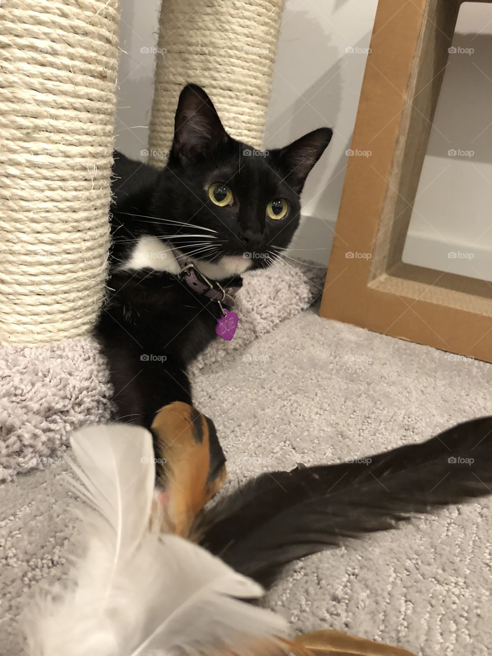 Hello, it’s me ...