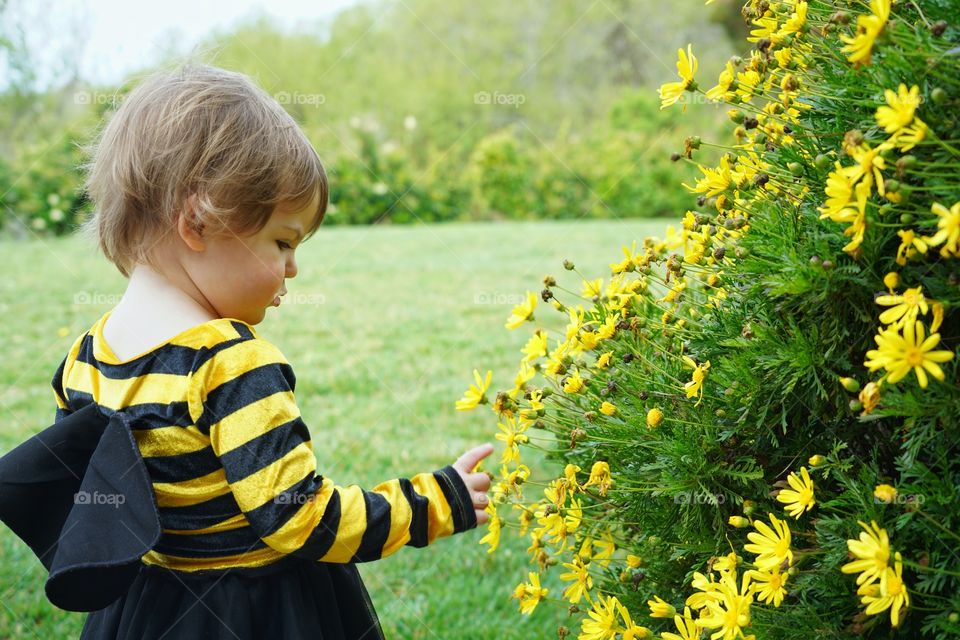 Toddler Girl In The Garden With Yellow Flowers