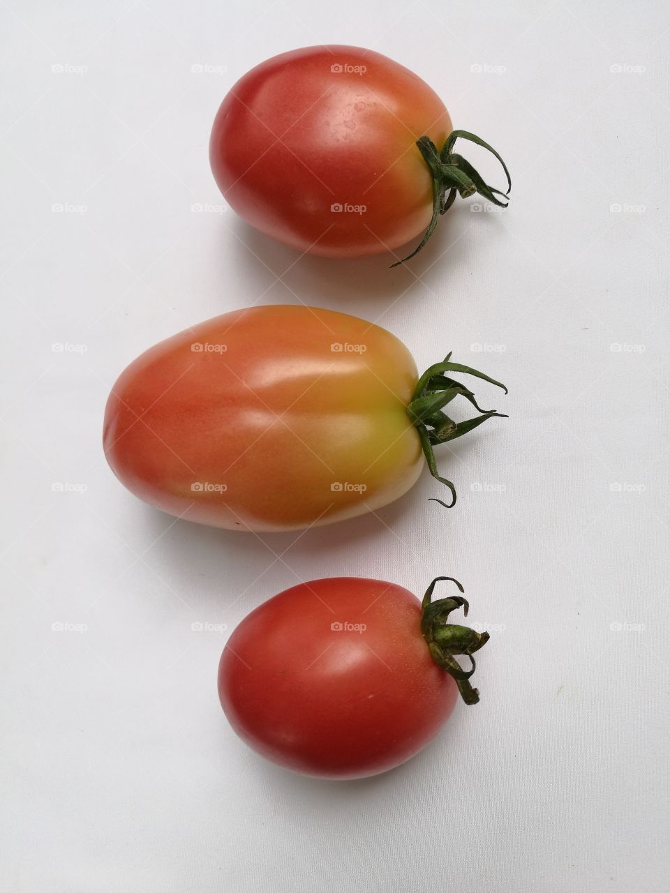 Three tomatoes isolated on white background