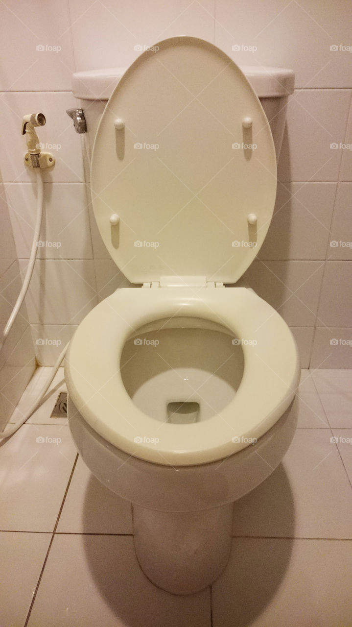 Flush Toilet