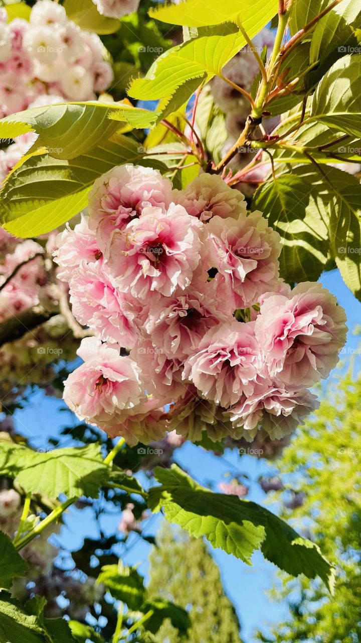 Just living is not enough