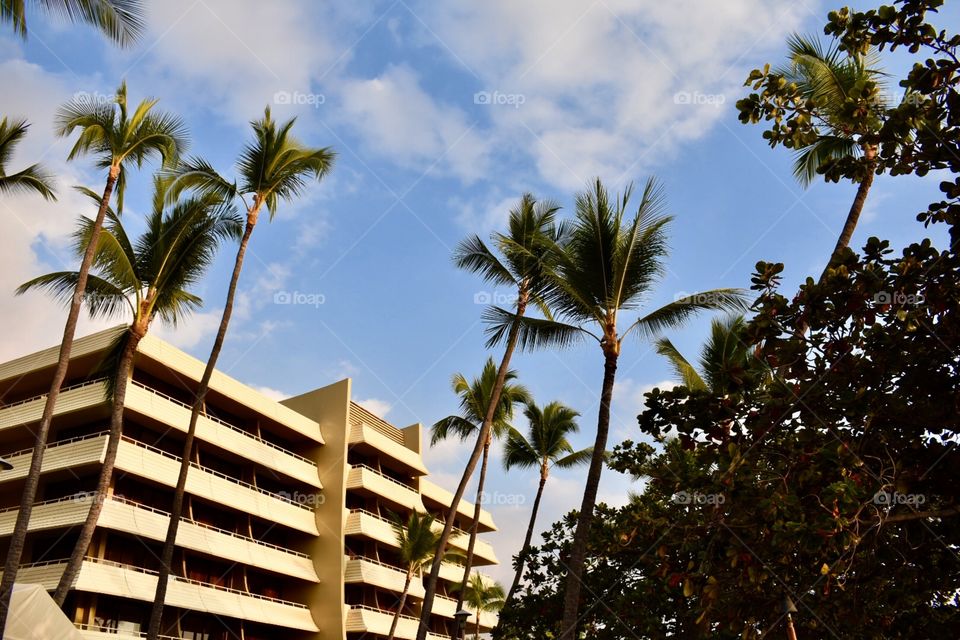 A hotel and palm trees