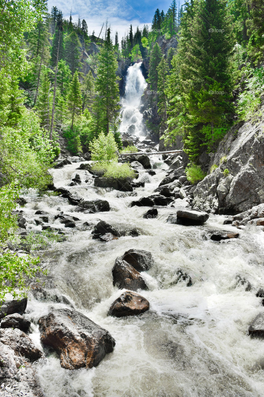 Beautiful waterfall in forest