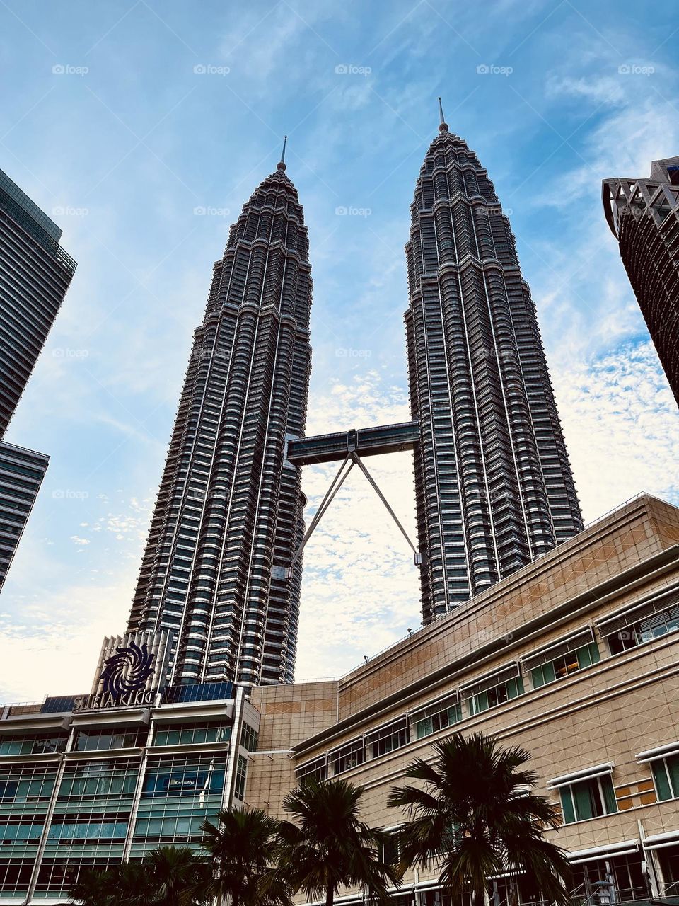 The Petronas Twin towers 