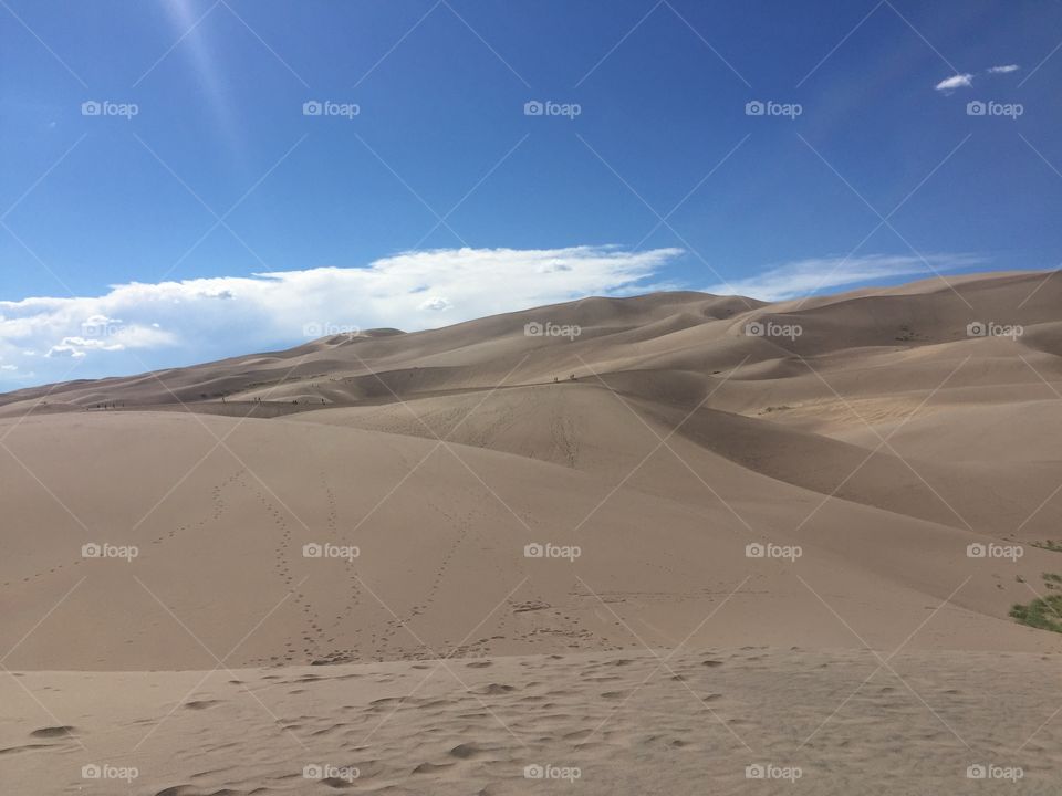 Desert, Sand, Dune, Wasteland, No Person