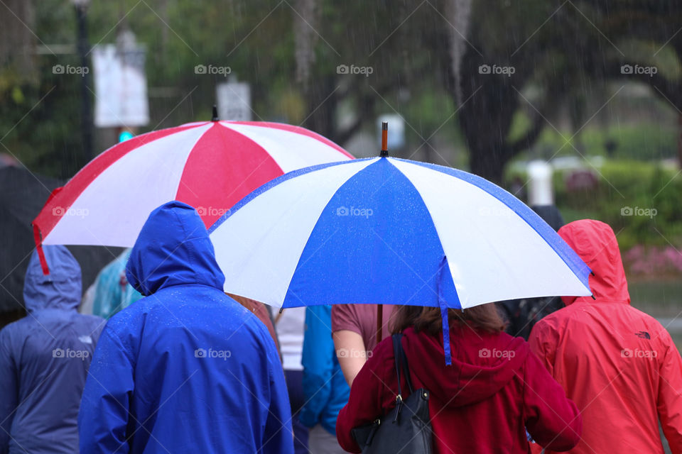 Group of people walking in the rain with their umbrellas in Florida. 