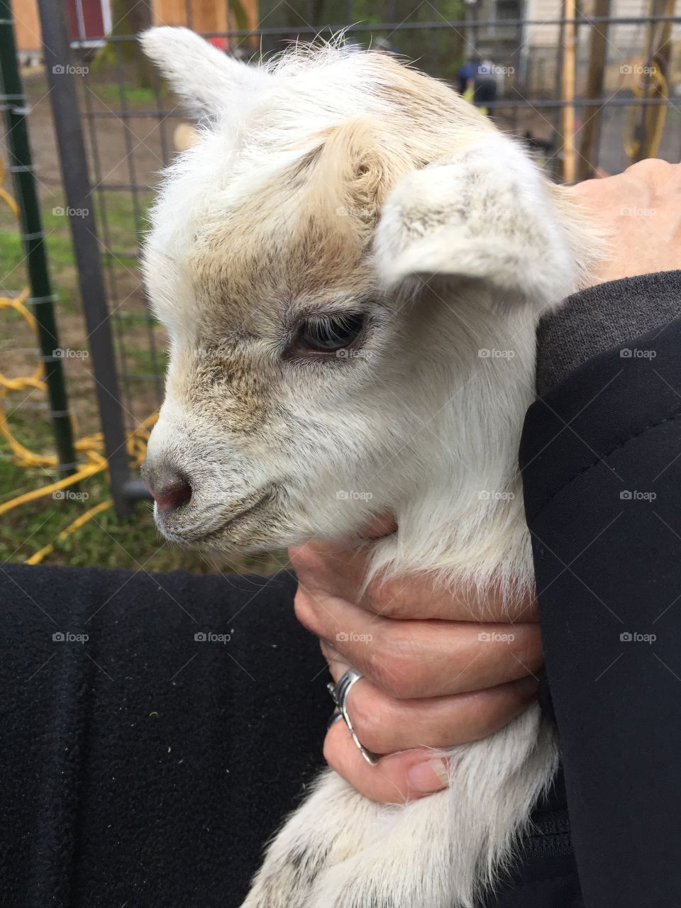 ready for his close up