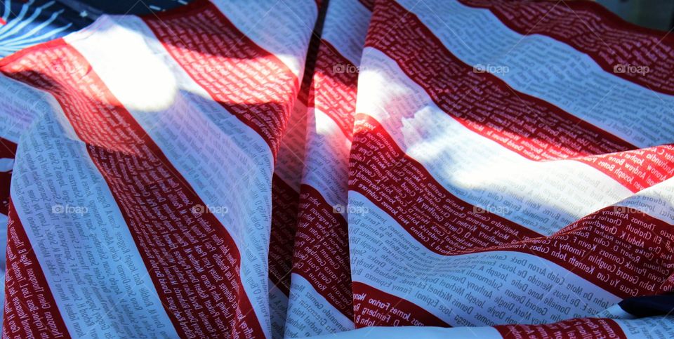 Never Forget the Fallen