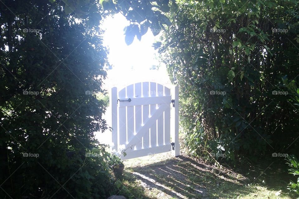 Gate 