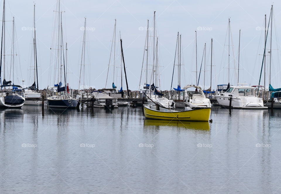 Sailboats in the harbor of Lake Michigan