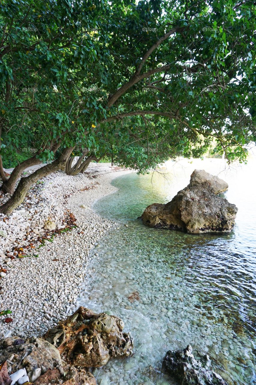 Jamaïcain. Brachial