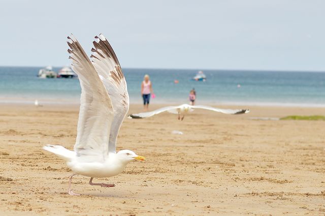 Taking flight 
