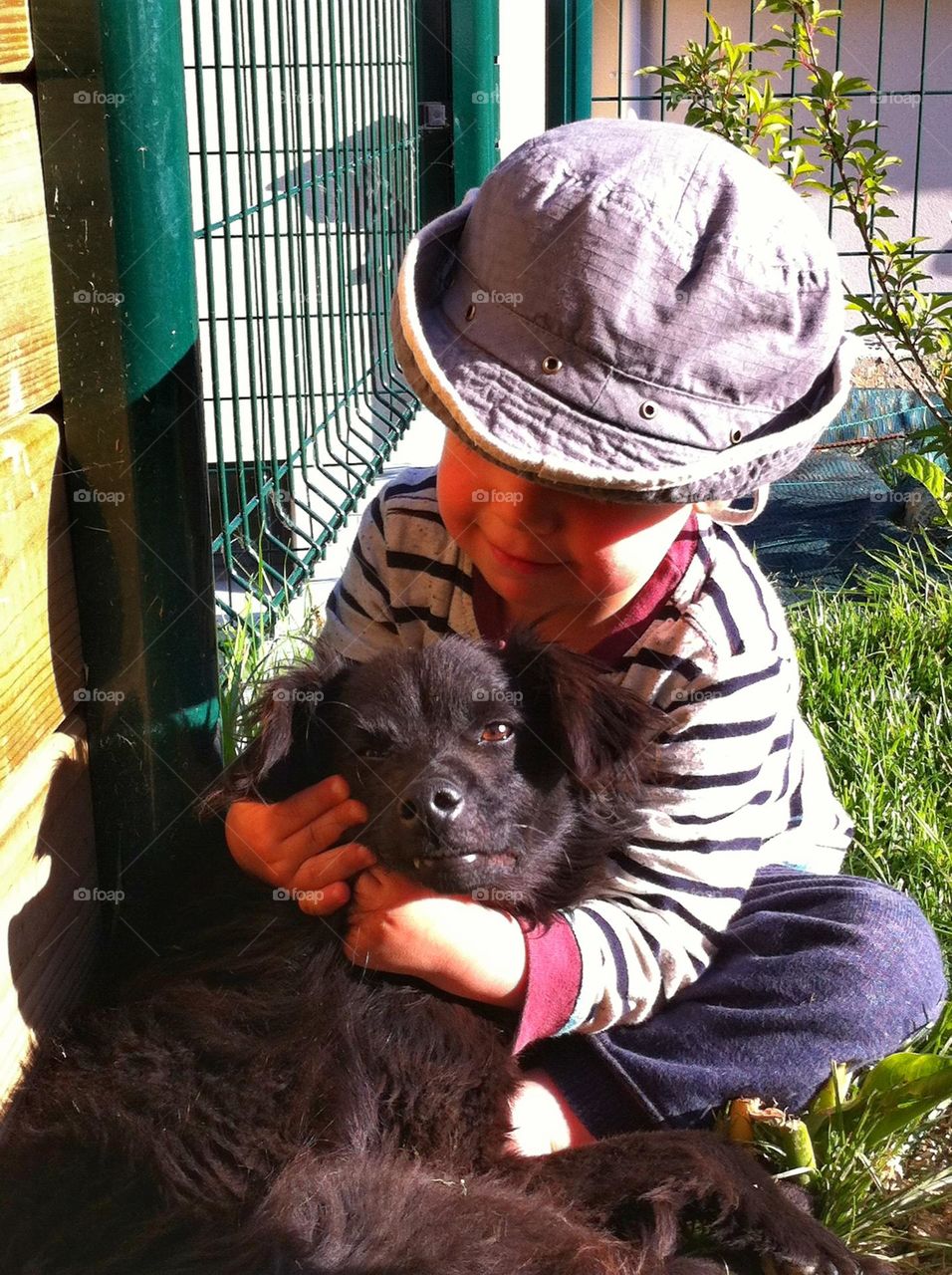 Child playing with his dog