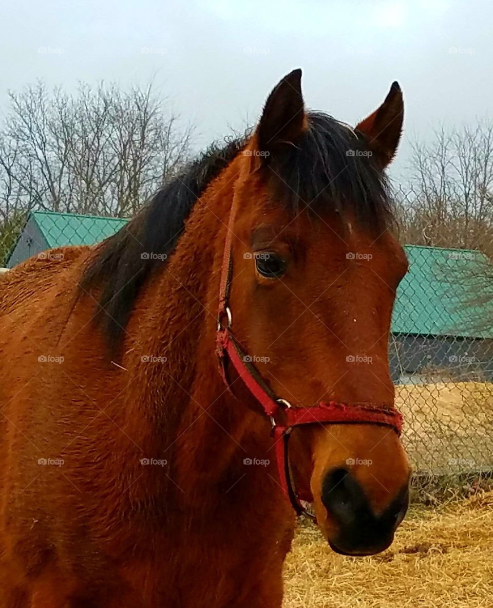 Driving the back Roads, Enjoying Nature