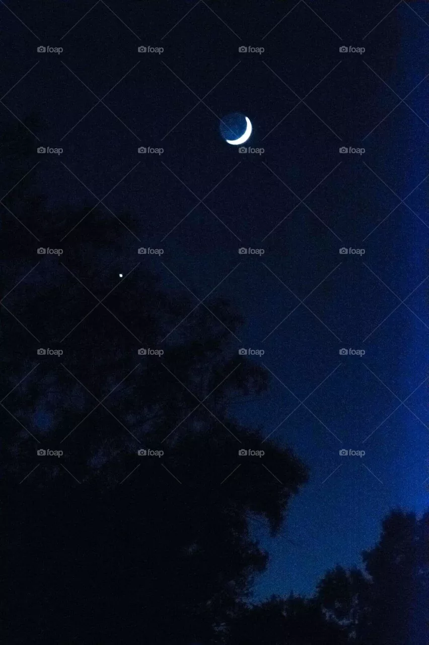 moon