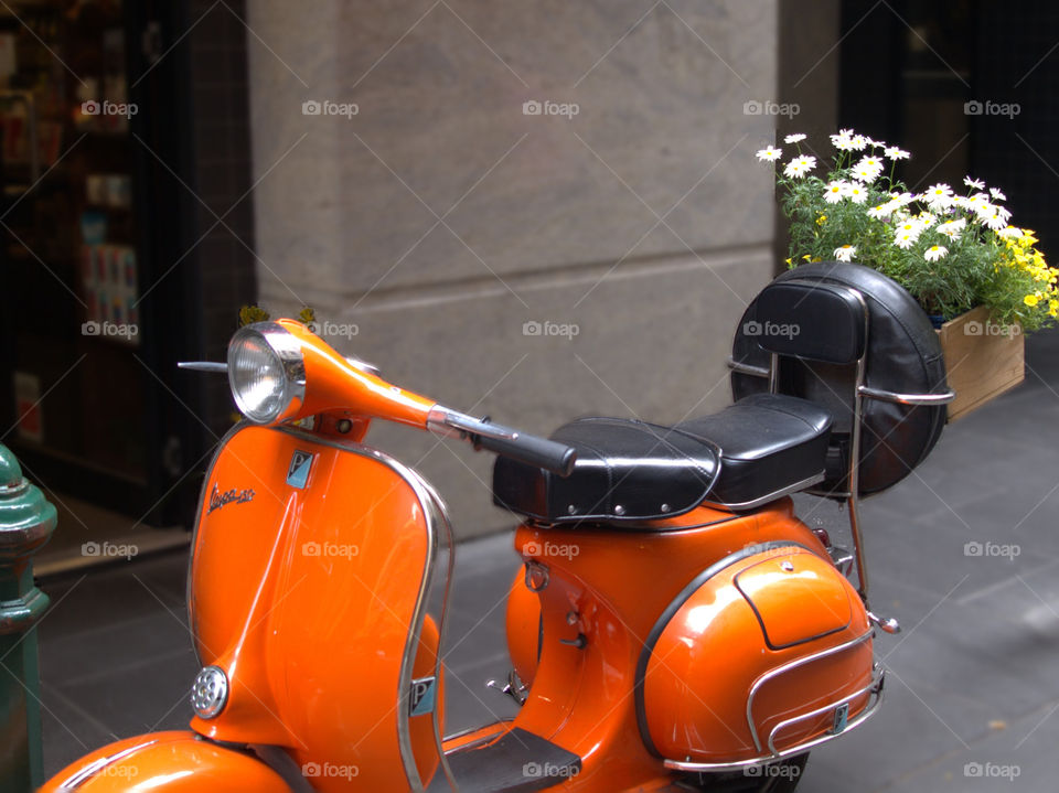 flowers in a vespa