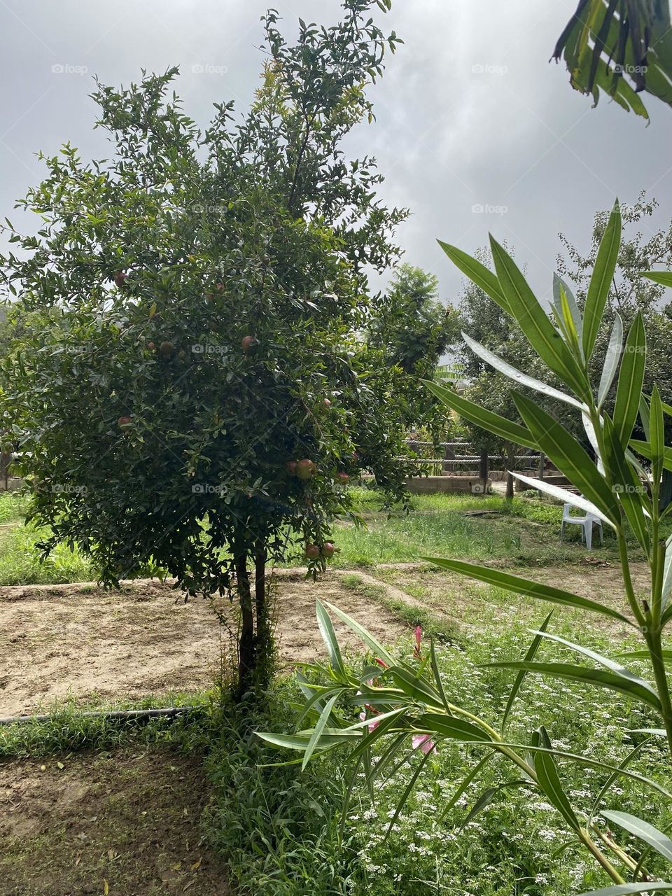 Amazing photo for farm home 🏡