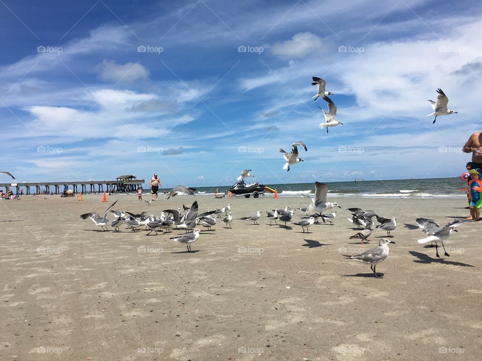 Tybee island, Georgia 