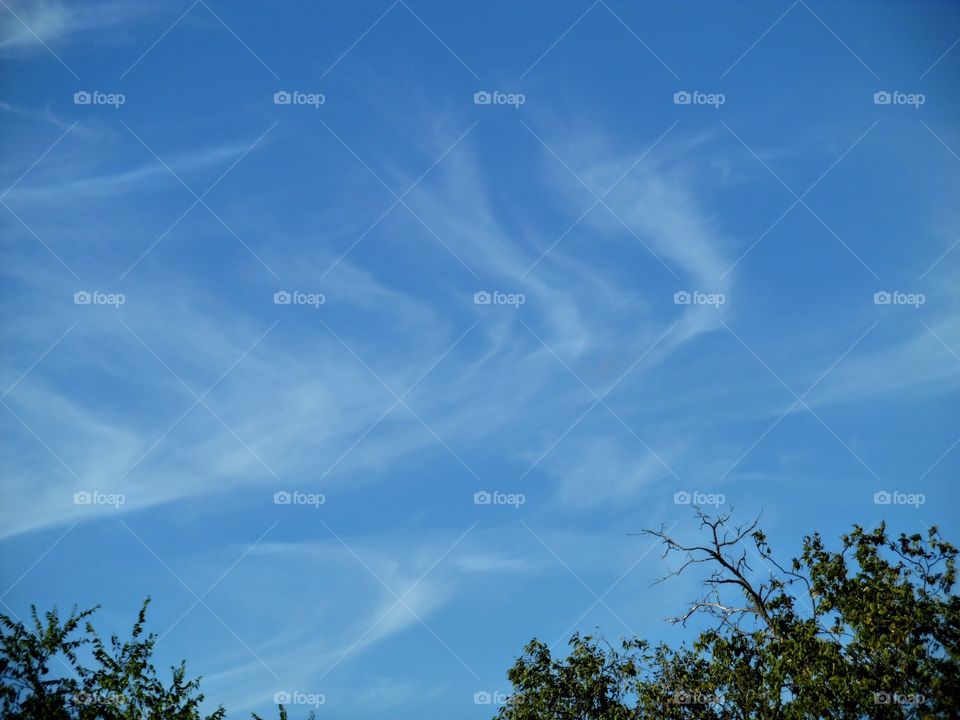 blue sky 1. I saw this beautiful sky that looks like angel 😇 flying... 👣 🚶 🏃 🔥 💨