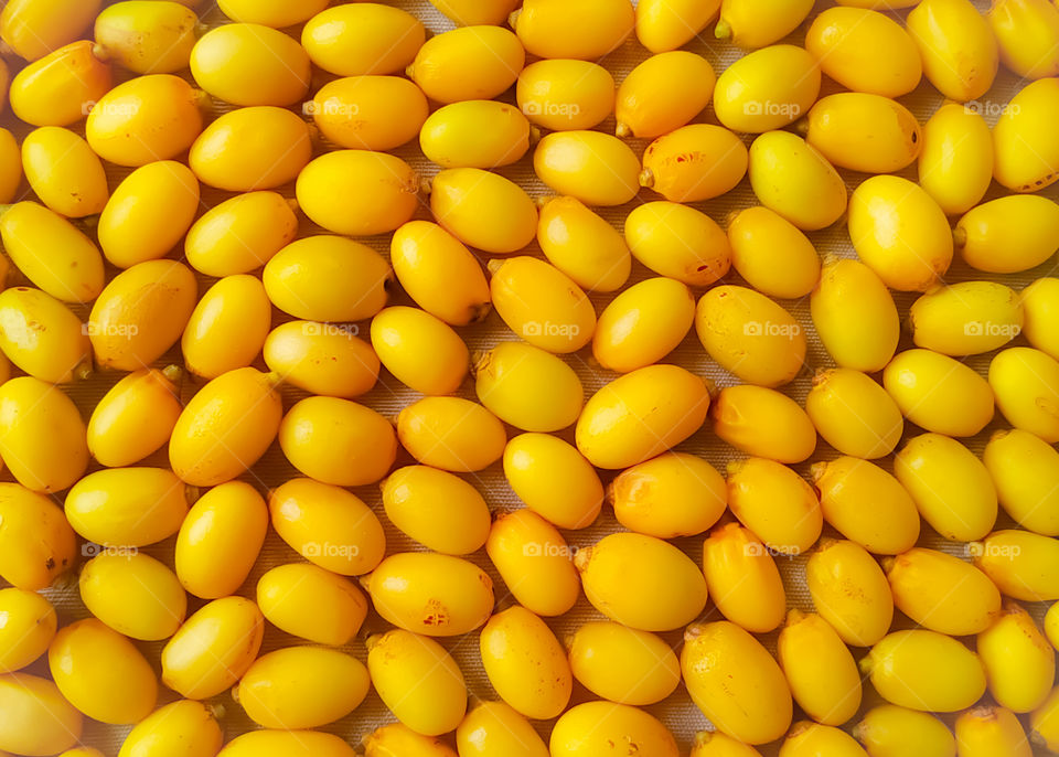 Neem fruits close-up as background.in Rajasthan India
