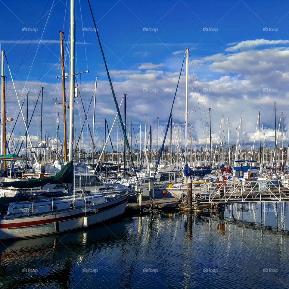 Boats moored at the marina in Everett, Washington's Port Gardner Bay.