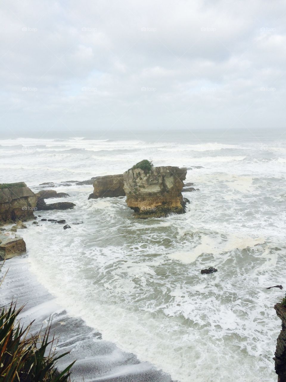 Rocks in New Zealand . Ocean rocks in New Zealand 