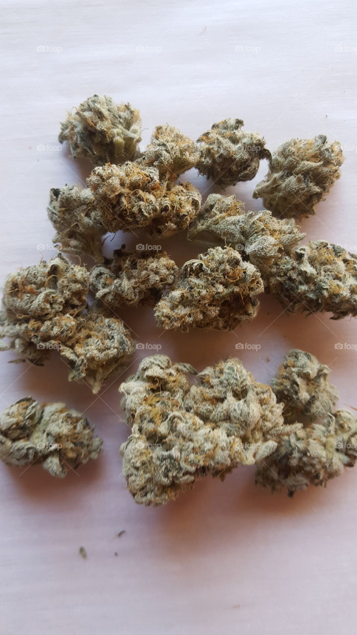 marijuana - Gorilla Glue strain