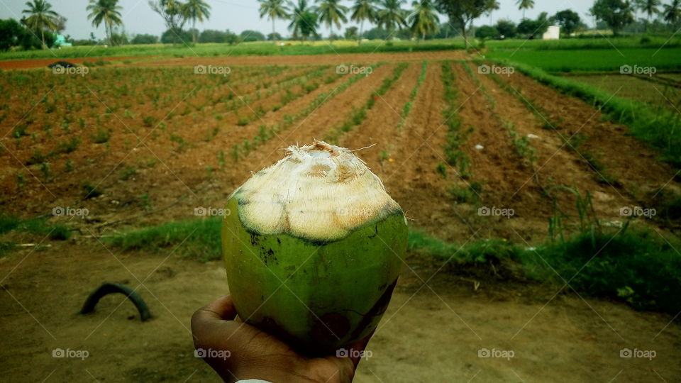 a tasty and sweet coconut water